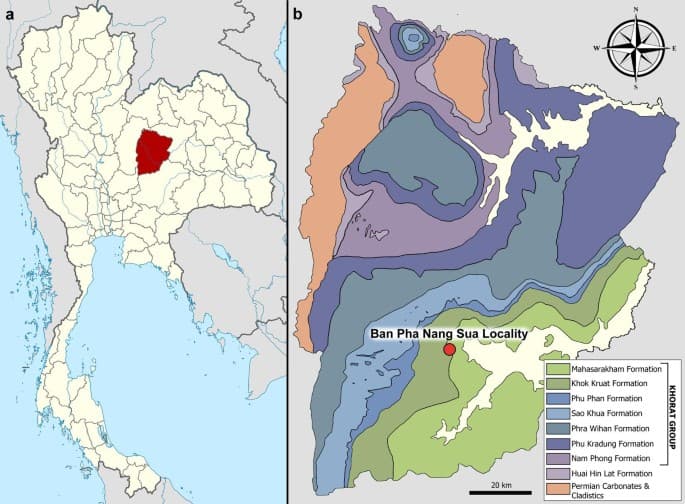 The first sauropod dinosaur from the Lower Cretaceous Khok Kruat Formation of Thailand enriches the diversity of somphospondylan titanosauriforms in southeast Asia | Scientific Reports